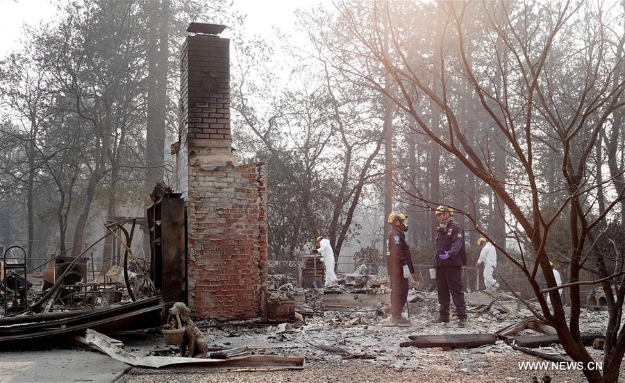 ?????? ??? ???? ???? ???? ?????????? ??? 77 ????