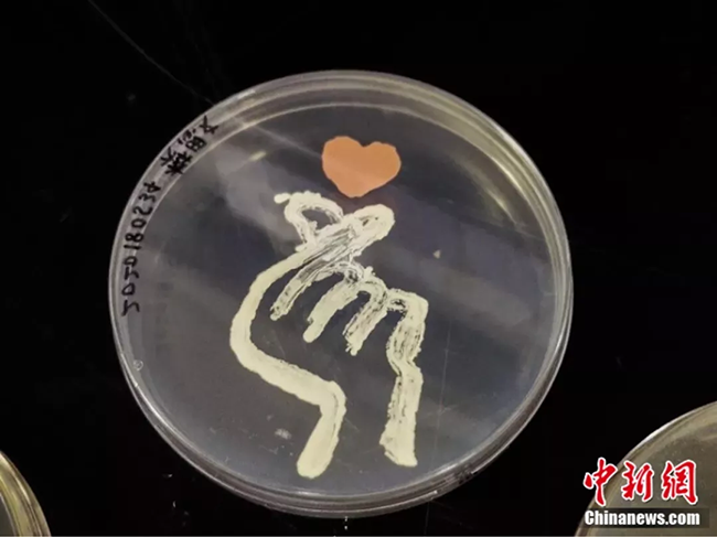 ???? ?????? ?????? ??????????