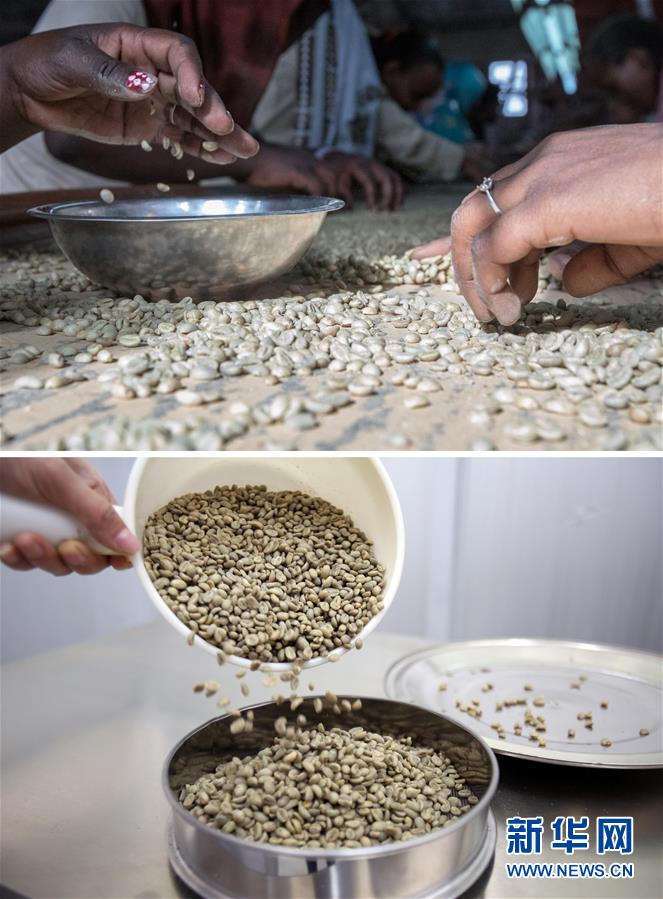 ?? ??????? ??? ?????: ???? ???? ???? ??? ???? 