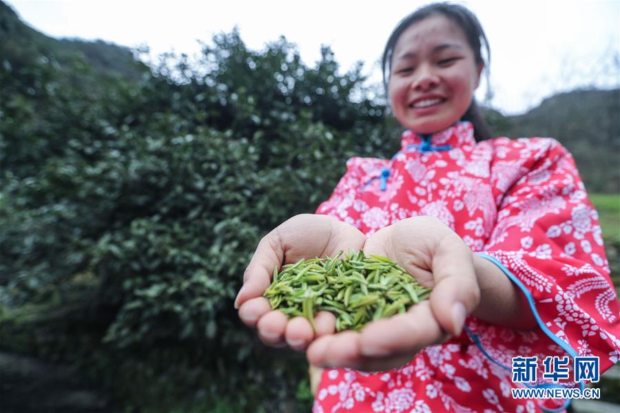 ????? 800 ???? ??? ??? ????? 