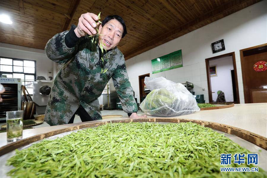 ????? 800 ???? ??? ??? ????? 