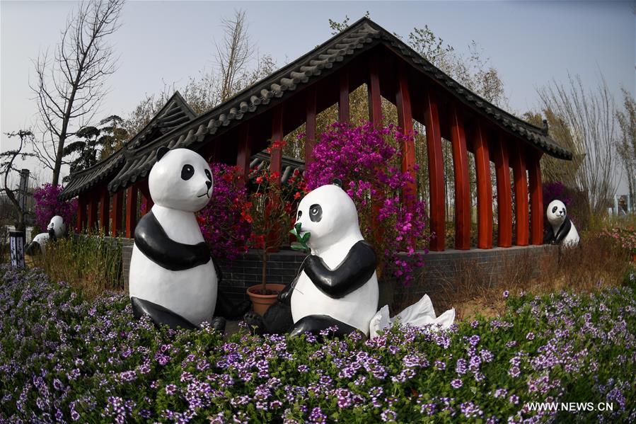 ??????? ??????? ????? ?????? ???? ???? ?????? ??????? 2019