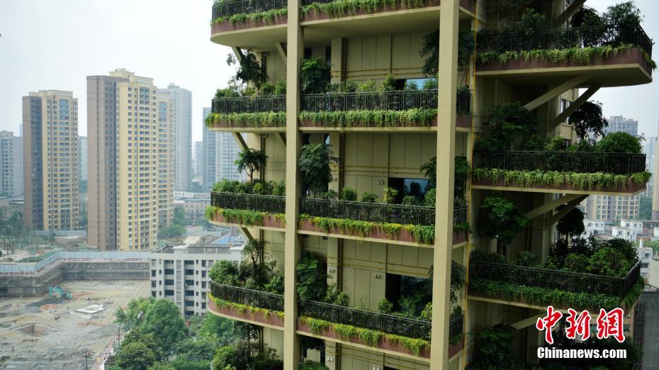 ??????: ???? ???? ???? 