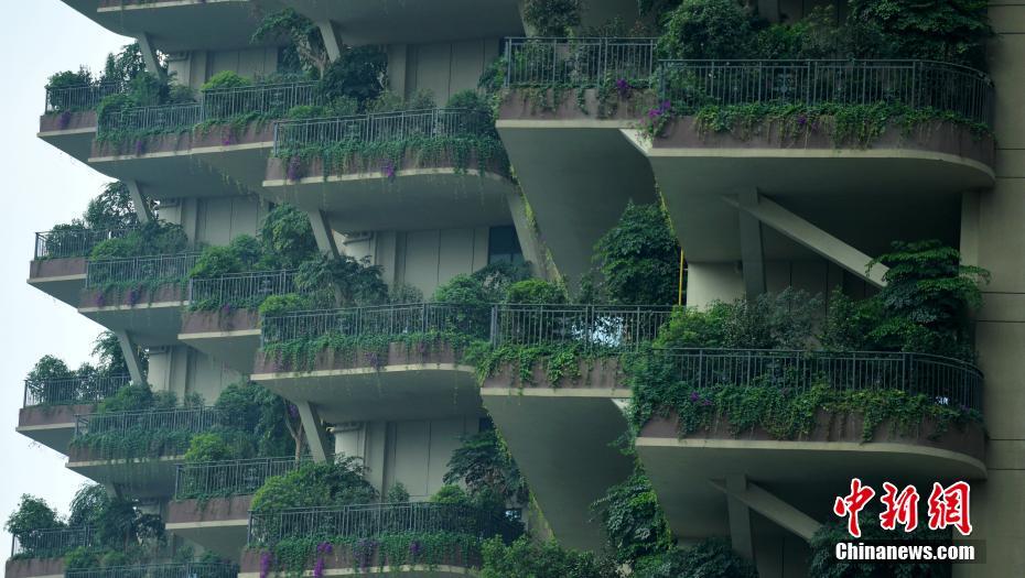 ??????: ???? ???? ???? 