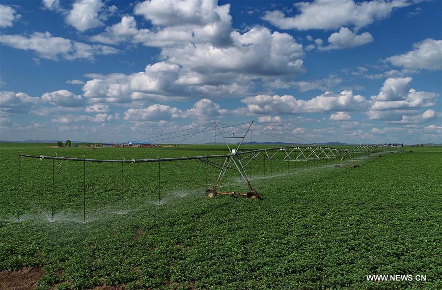 ?????? ???? ??????? ???? ??????? ???????? ????? ?????? ?? ????? ?????