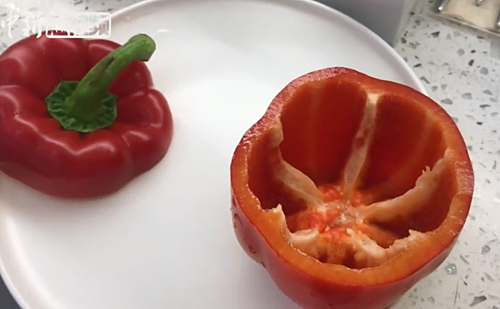 ????? ?????? ?? ?????? ????? ???? ?????? ?? ?????? 