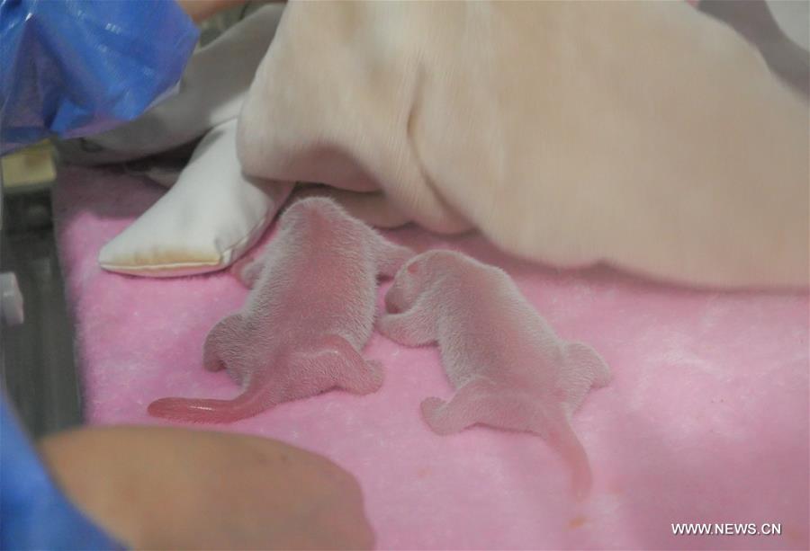 ????? ????? ????? ????? ???? ?????