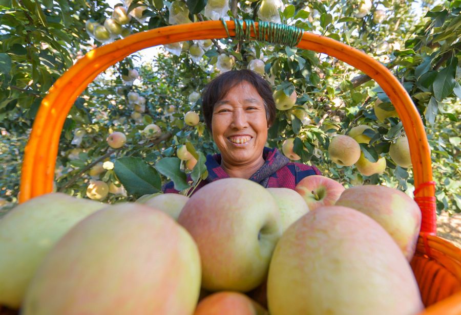 ??????? ???? ??? ?????? ????? ?? ???? ?????? ?????