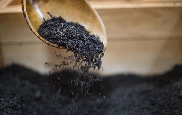 ??? ??? ???: ???? ???? ??? ???? ?????? ??????