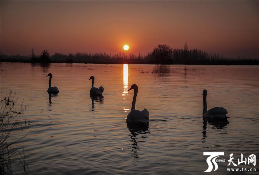 ????? ?????? ????? ???????? ????? ??? ?????? ??? ??? 25 ??? ???????