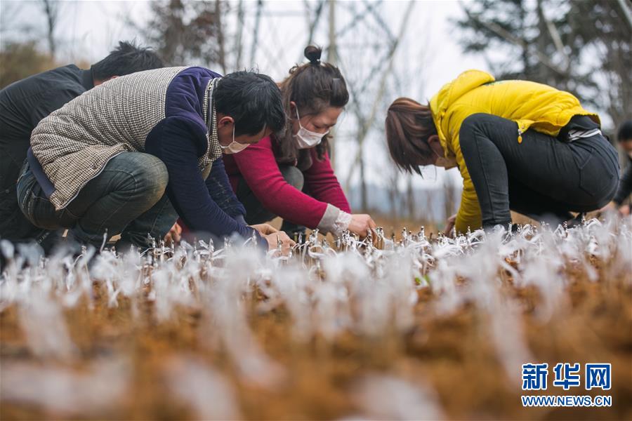 ??? ????? ??????? ?? ????? ?? ???? ?????? ??????