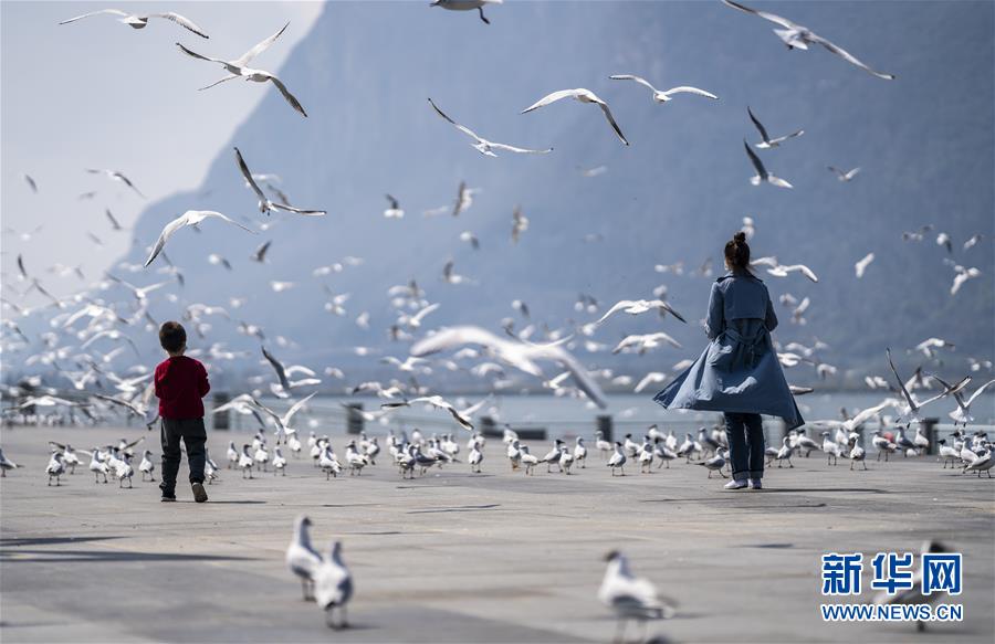 ???? ?????? ???? ?????? ?? ??????? 