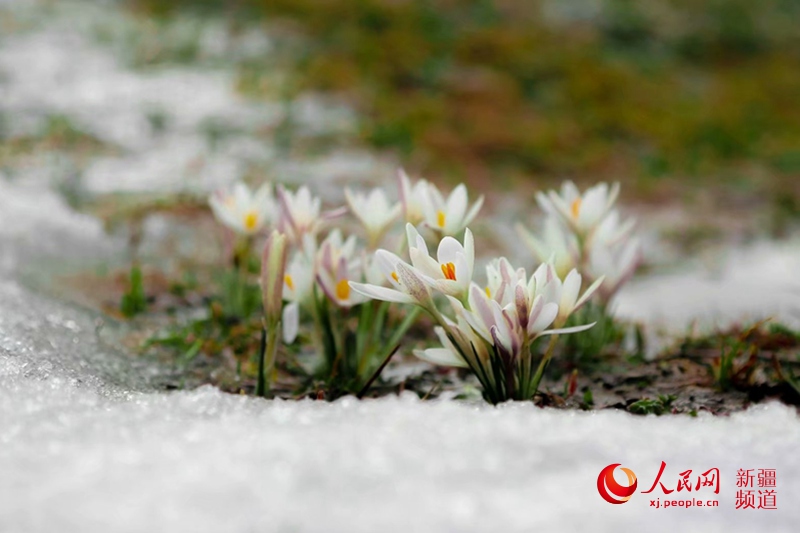 ???? ???? ?????? ?? ?????? ?? 