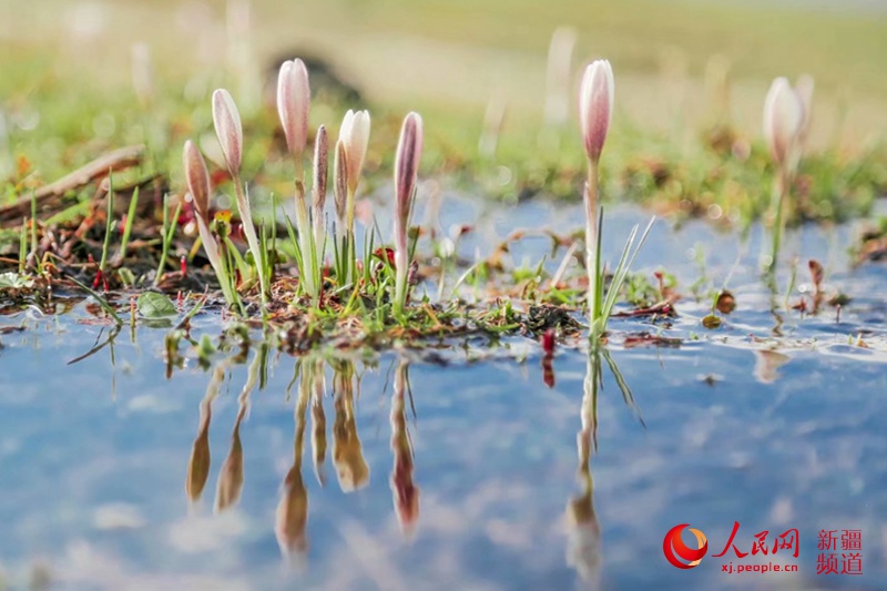 ???? ???? ?????? ?? ?????? ?? 