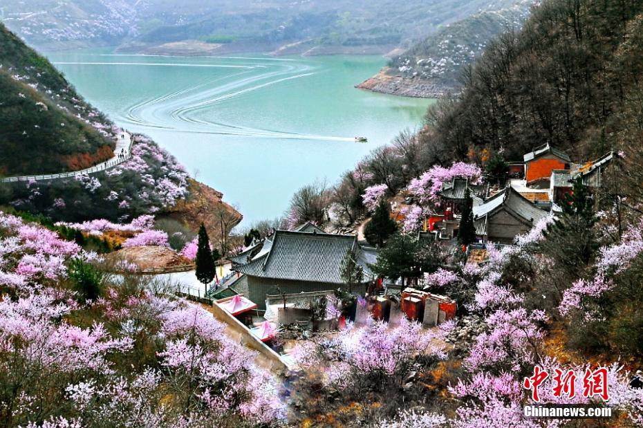 ???? ????? ???? ??? ???????? ?????? ??????