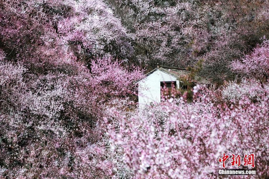 ???? ????? ???? ??? ???????? ?????? ??????