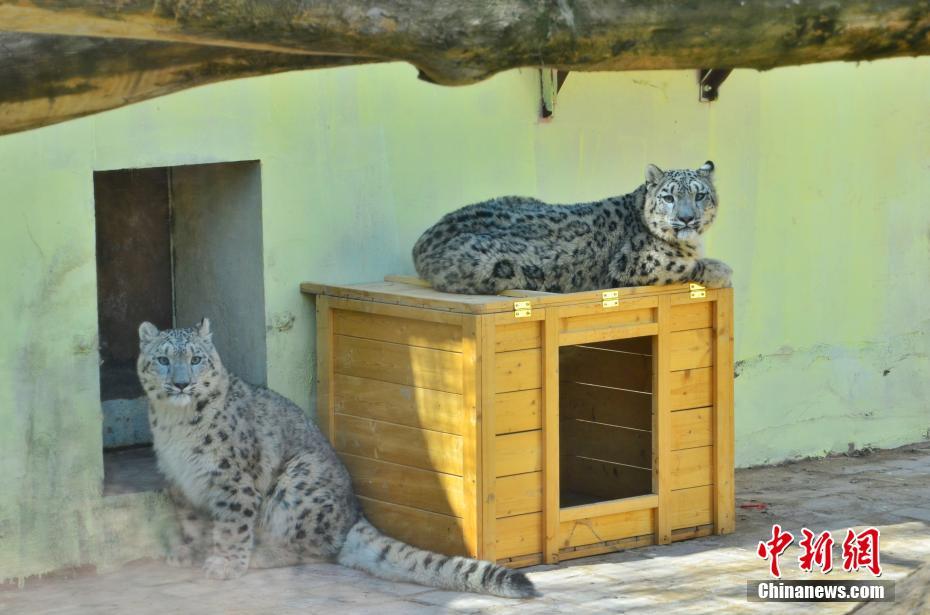 ??? ???? ???? ????? ????? ?????? ????? ???? ?????? ?? ?????