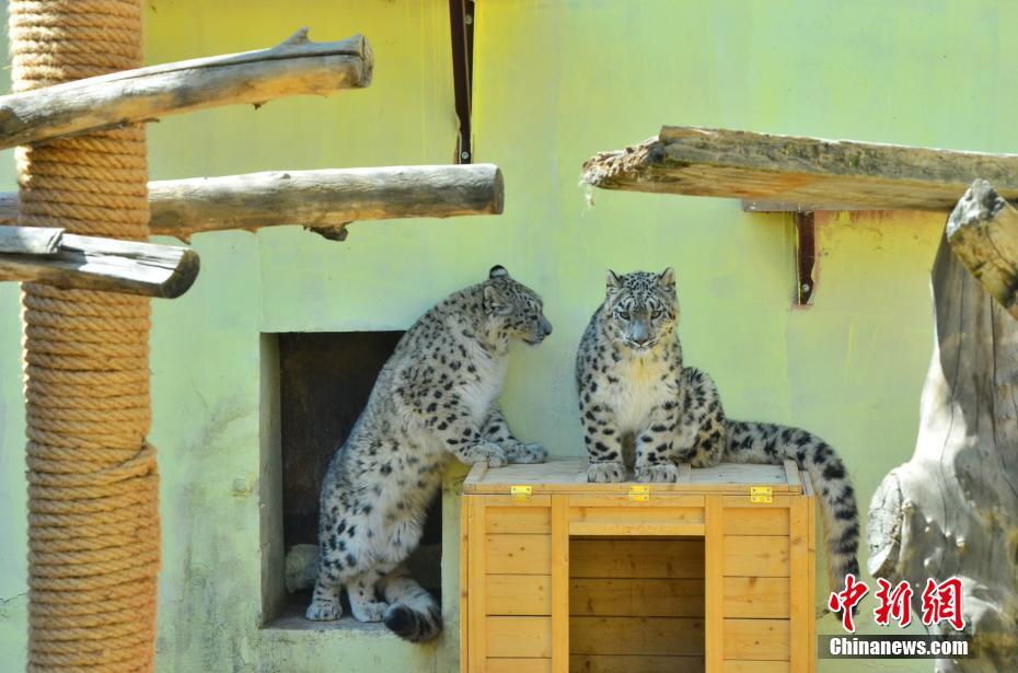 ??? ???? ???? ????? ????? ?????? ????? ???? ?????? ?? ?????