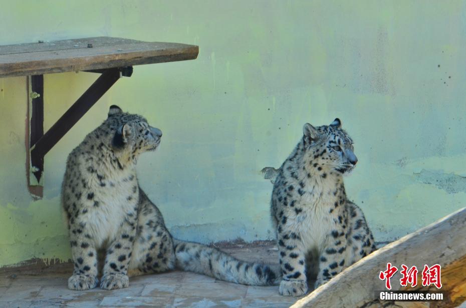 ??? ???? ???? ????? ????? ?????? ????? ???? ?????? ?? ?????