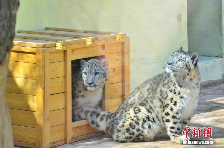 ??? ???? ???? ????? ????? ?????? ????? ???? ?????? ?? ?????