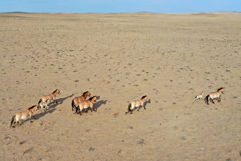 ????? 18 ???? ????? ?? ????? ?????????? ??????? ????????? ?? ???? ???? ?????