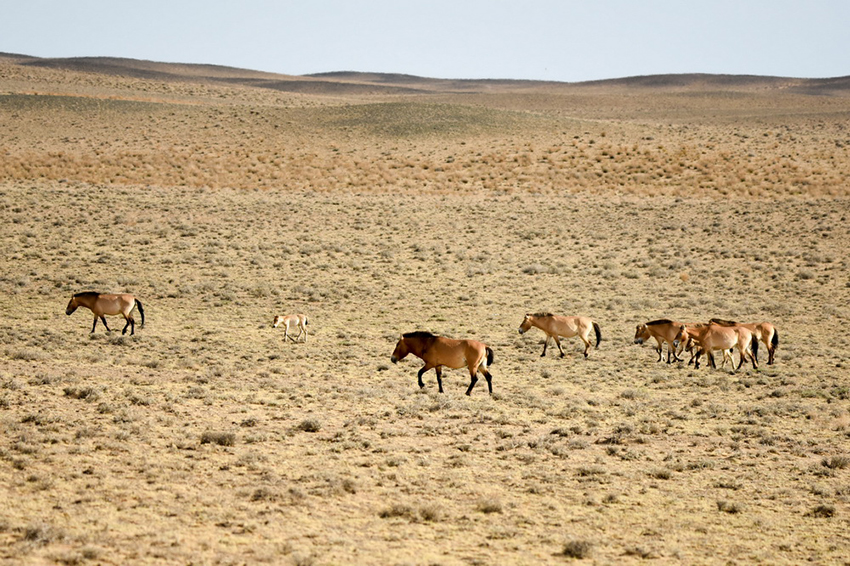 ??? ???????: ???? ???? ????????? ?????