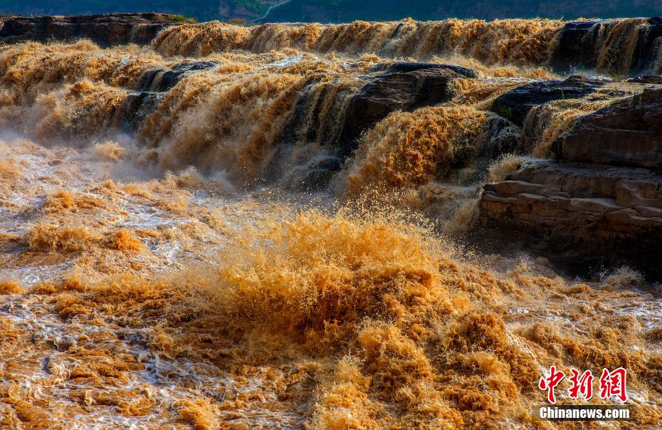 ???? ???? ???? ???? ???????