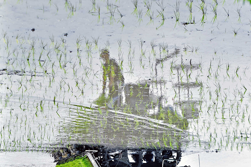 ???? ????-3 ??? ??????????? ??????? ?? ???? ??????