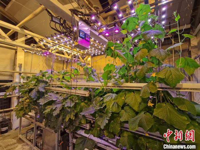 ???????? ?????? ???????? ?? ?????? ??????? ?????? ???????