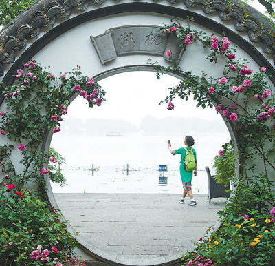 ?????: ???????? ?????? ??3.4 ????? ???? ????? ?? 2020? ??????? 43%