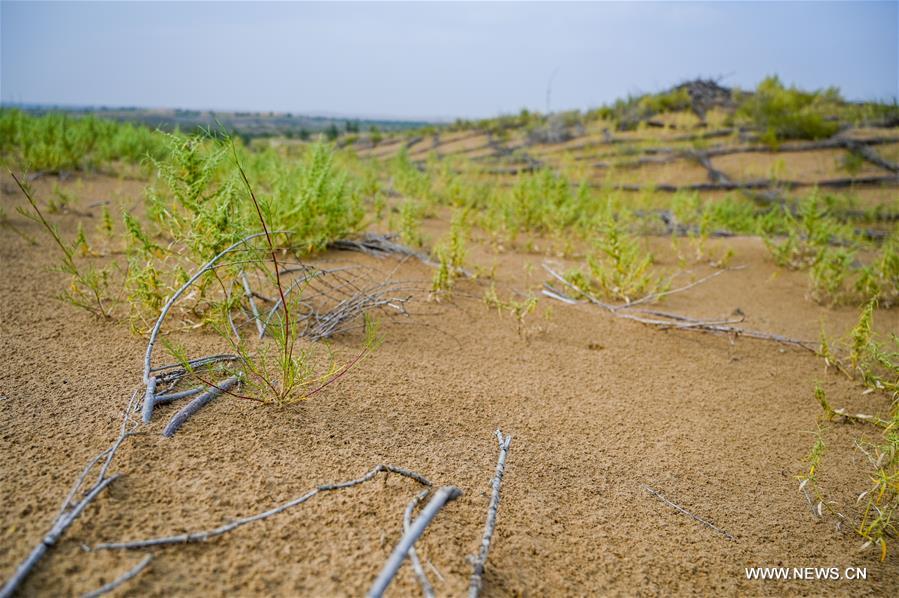 ?????? ?????? ?? ????? ??????? ?????? ?????