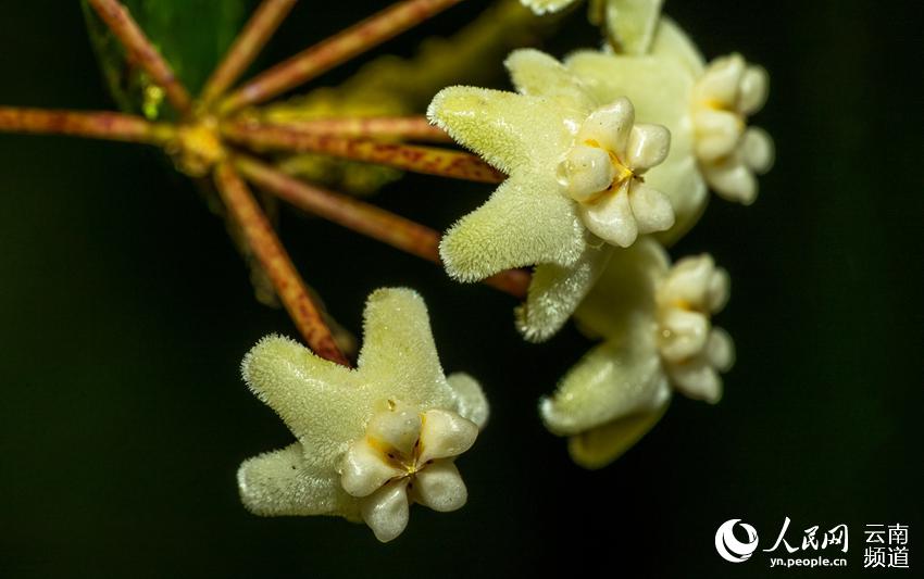 ?????? ??? ????? ???? ?? ?????? ?????? ????? ???? ?????