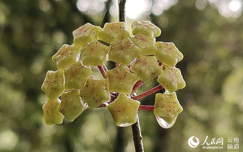 ?????? ??? ????? ???? ?? ?????? ?????? ????? ???? ?????