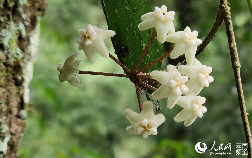 ?????? ??? ????? ???? ?? ?????? ?????? ????? ???? ?????