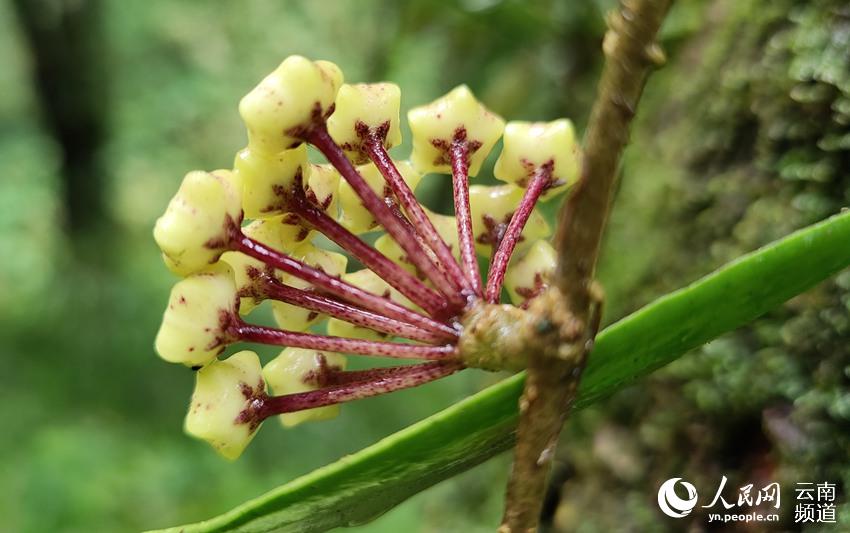 ?????? ??? ????? ???? ?? ?????? ?????? ????? ???? ?????