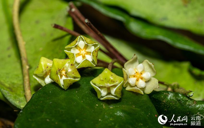 ?????? ??? ????? ???? ?? ?????? ?????? ????? ???? ?????