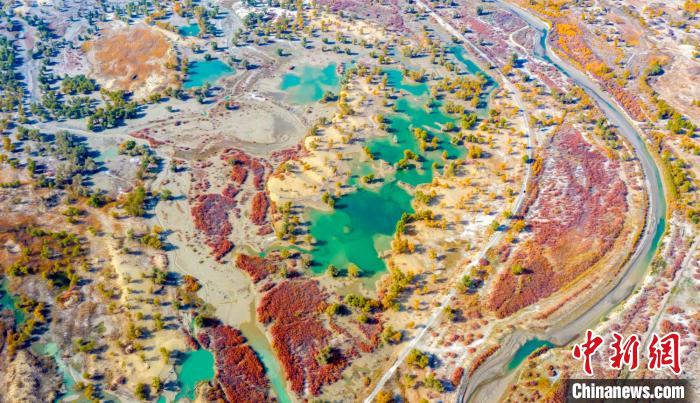 ?????: ?? ???? ???? ??? .. ????? ?????? ????? ???? ?? ????????