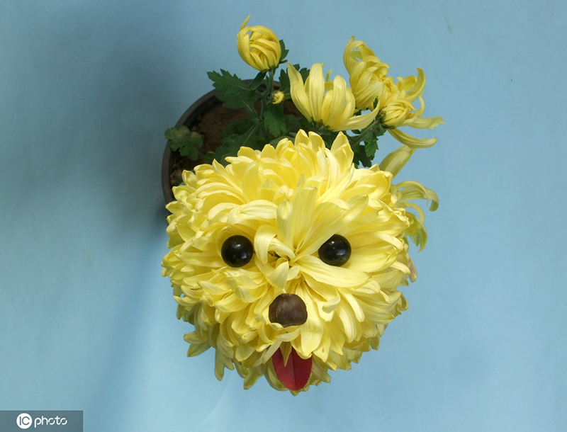 ????? ?????.. ?????????