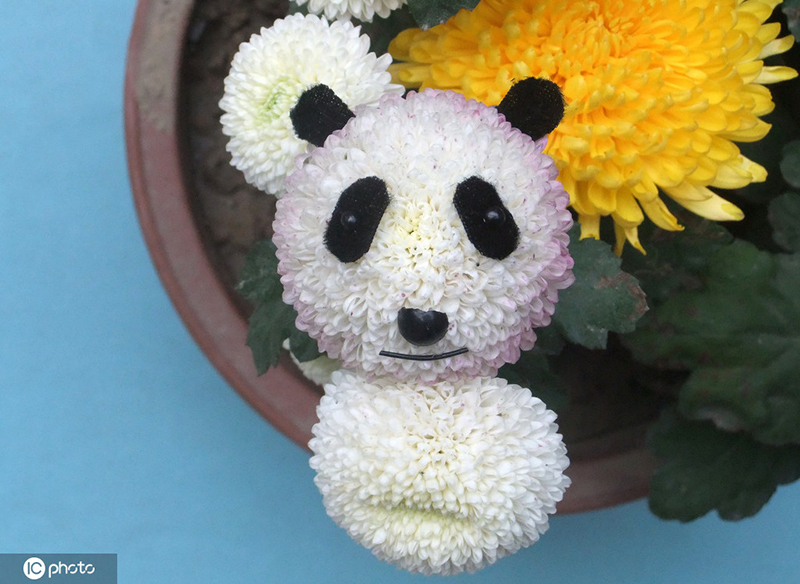 ????? ?????.. ?????????