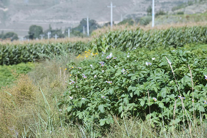 ?????? ??? ???? ??????? ??????? ?? ????? ??????