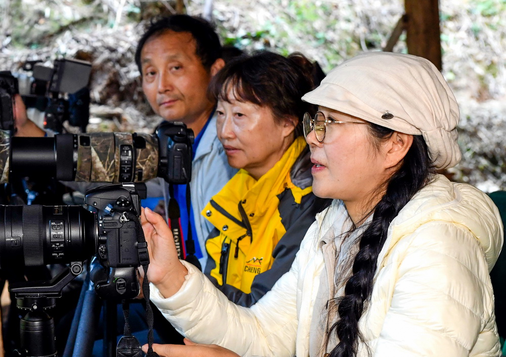 ???? ?? ????? ????? ... ???? ???? ?????? ??????? ????????