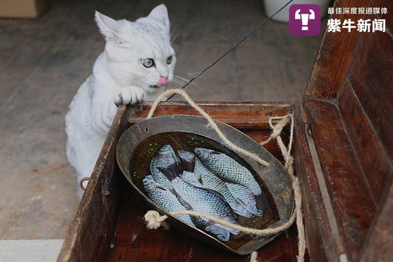 ???? ???? ????? ???? ??????? ???? ?????? ??????? ?????? ???????? ???? ???????