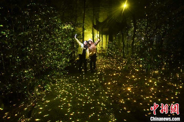 ??????????? ??? ??????? ??????? ????? ???? ??????? ?? ???????