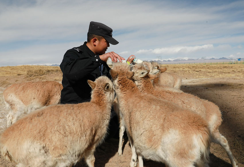 ????? ?????? ??????? ???? ??? ??????? ???? ???? ???????