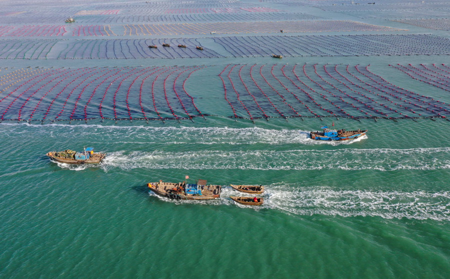 ??????? ??????? ?? ????? ?????? ???????? ?? ?????? ???????  ??????? 