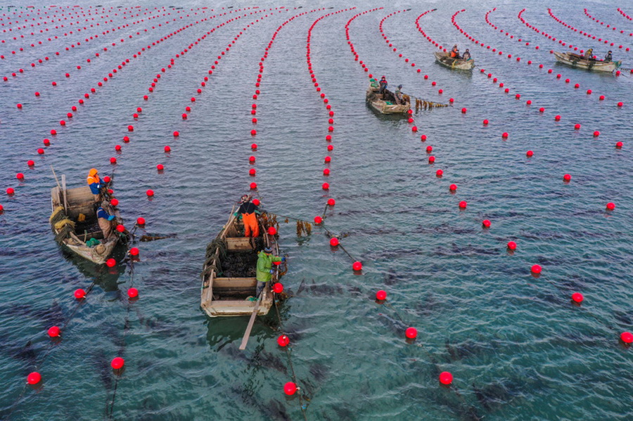 ??????? ??????? ?? ????? ?????? ???????? ?? ?????? ???????  ??????? 