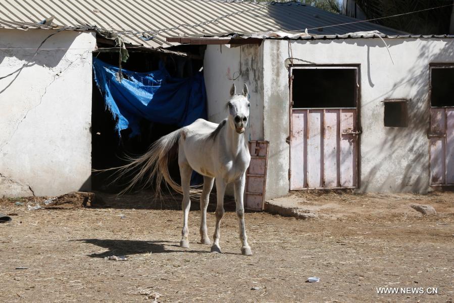 ????? ??????: ?????? ??????? ??????? ??????? ????? ???? ?? ????? ???? ????? ?????