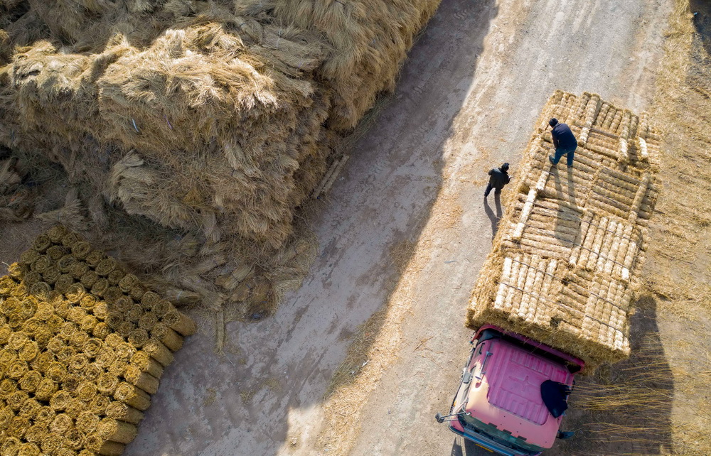 ??????? ???? ?? ????? ???????