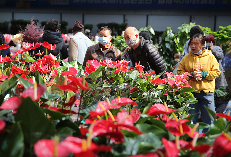 10.6% ??????? ?? ??? ??????? ???????? ???? ??????? ?????? ???? ???? ?????