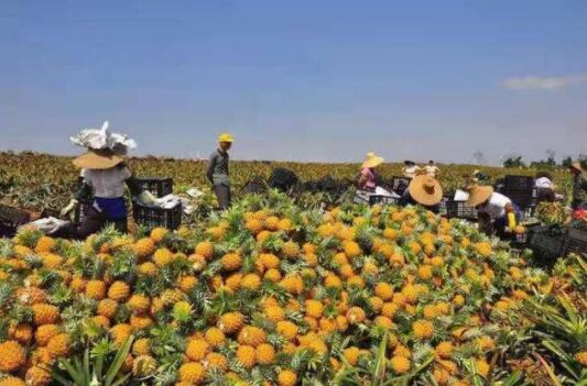 ????? ?????????: ???? ???????? ?? ?????